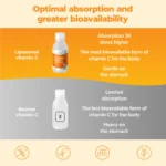 Vitamina C Liposomiale