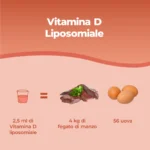 Vitamina D Liposomiale