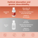 ferro liposomiale liquido