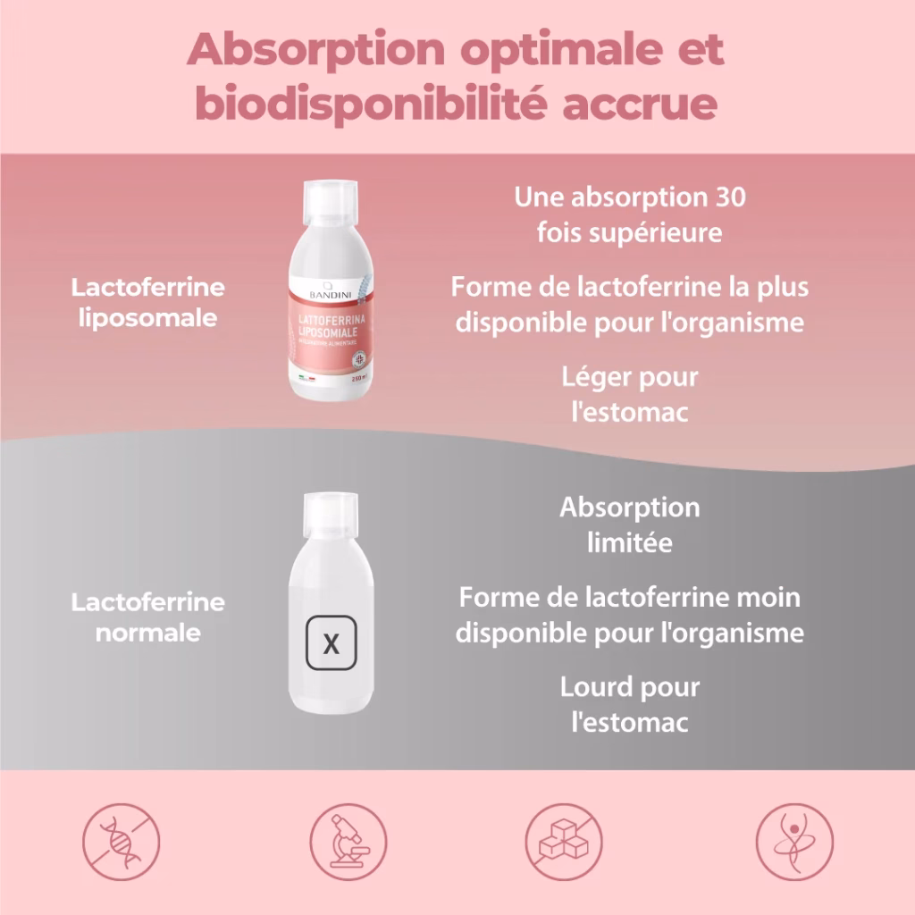 Vitamina C Liposomiale