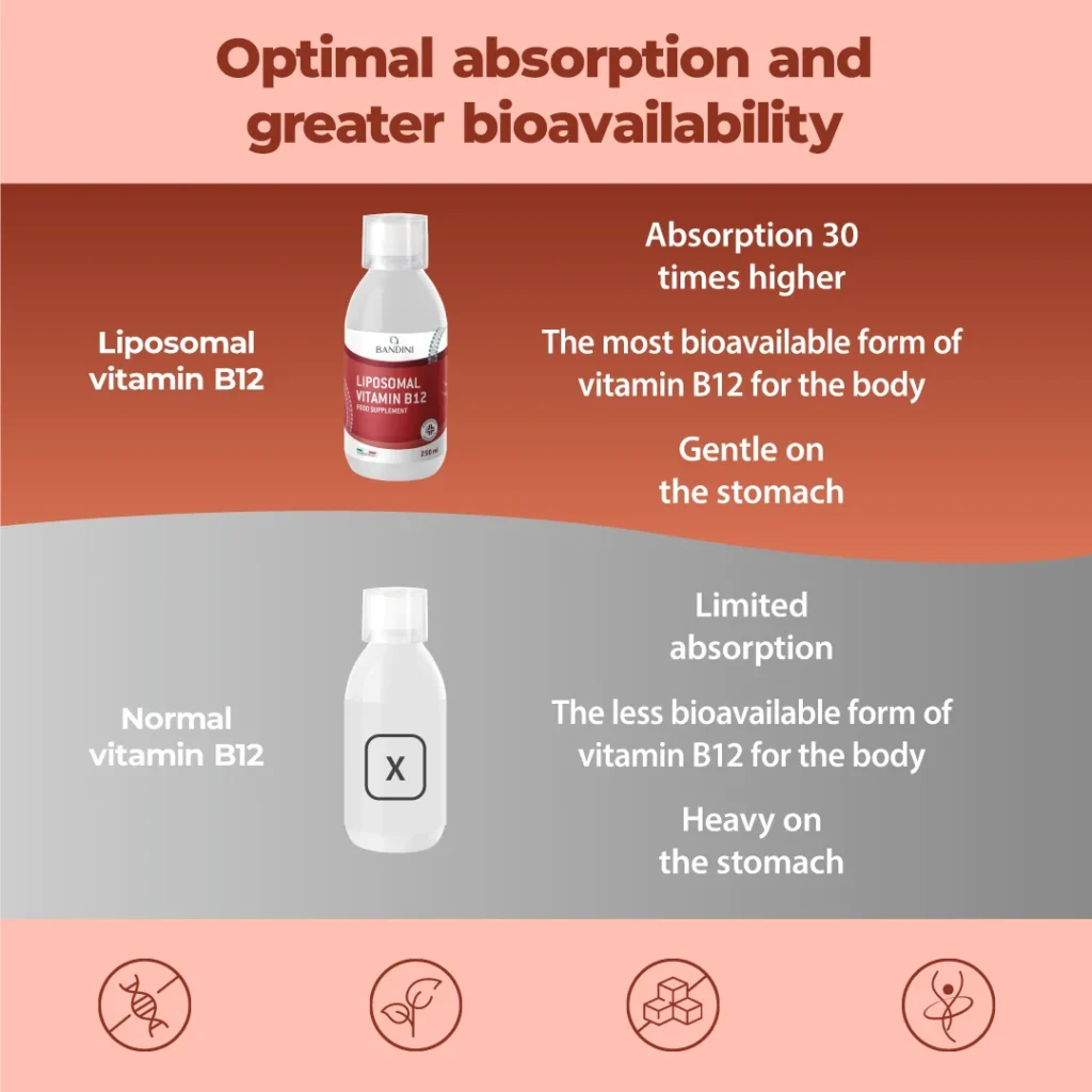 Vitamina B12 Liposomiale