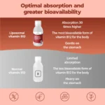 Vitamina B12 Liposomiale