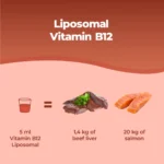 Vitamina B12 Liposomiale
