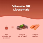 Vitamina B12 Liposomiale