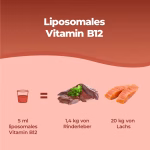 Vitamina B12 Liposomiale