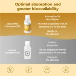 Listing Coenzima Q10 Liposomiale