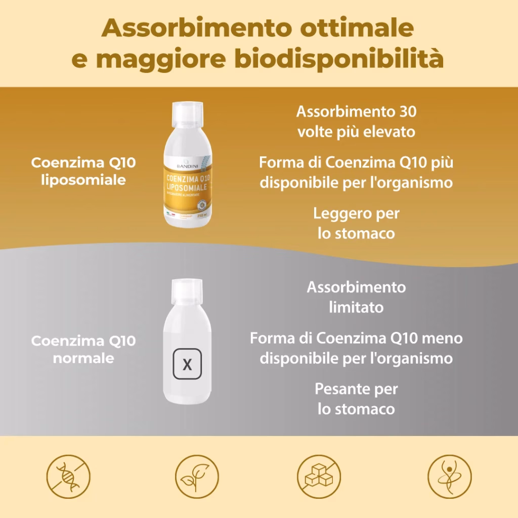 Listing Coenzima Q10 Liposomiale