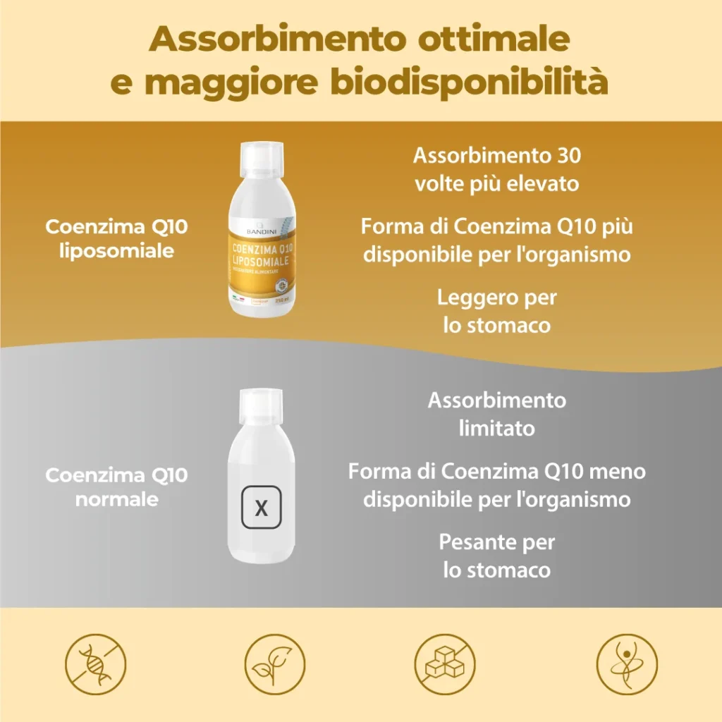 Listing Coenzima Q10 Liposomiale