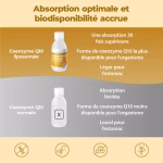 Listing Coenzima Q10 Liposomiale