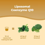 Listing Coenzima Q10 Liposomiale