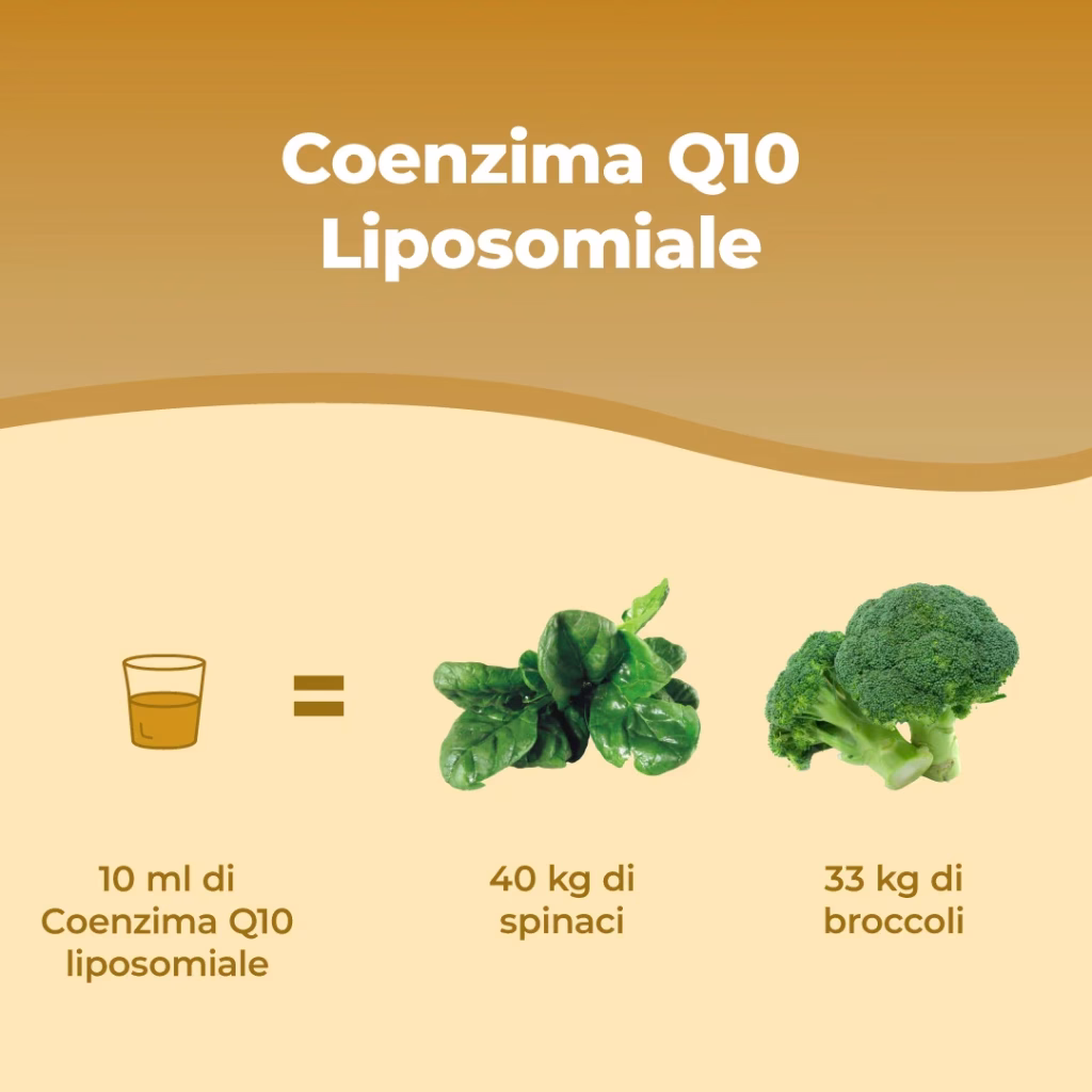 Listing Coenzima Q10 Liposomiale