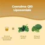 Listing Coenzima Q10 Liposomiale