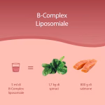B-Complex Liposomiale