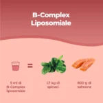 B-Complex Liposomiale