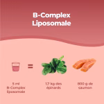 B-Complex Liposomiale