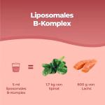 B-Complex Liposomiale
