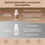 Ashwagandha Liposomiale