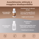 Ashwagandha Liposomiale