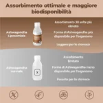 Ashwagandha Liposomiale