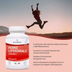 ferro liposomiale 60 capsule