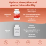 ferro liposomiale 60 capsule
