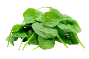 Spinaci