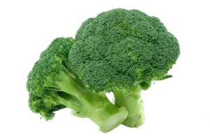 broccoli banner