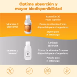 Vitamina D Liposomiale
