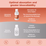 Vitamina D Liposomiale