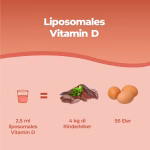 Vitamina D Liposomiale