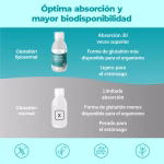 Glutatione Liposomiale