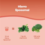 ferro liposomiale liquido