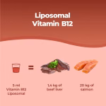 Vitamina B12 Liposomiale