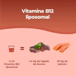 Vitamina B12 Liposomiale