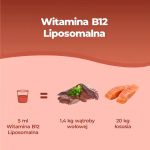 Vitamina B12 Liposomiale