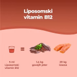 Vitamina B12 Liposomiale