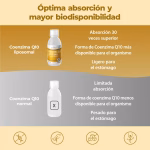 Listing Coenzima Q10 Liposomiale
