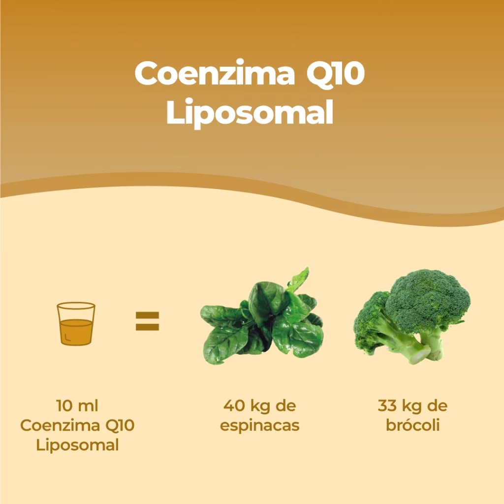 Listing Coenzima Q10 Liposomiale