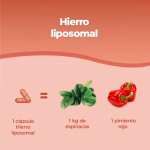 ferro liposomiale 60 capsule