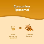 Curcumina Liposomal