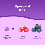 Doplněk stravy s liposomálním OPC