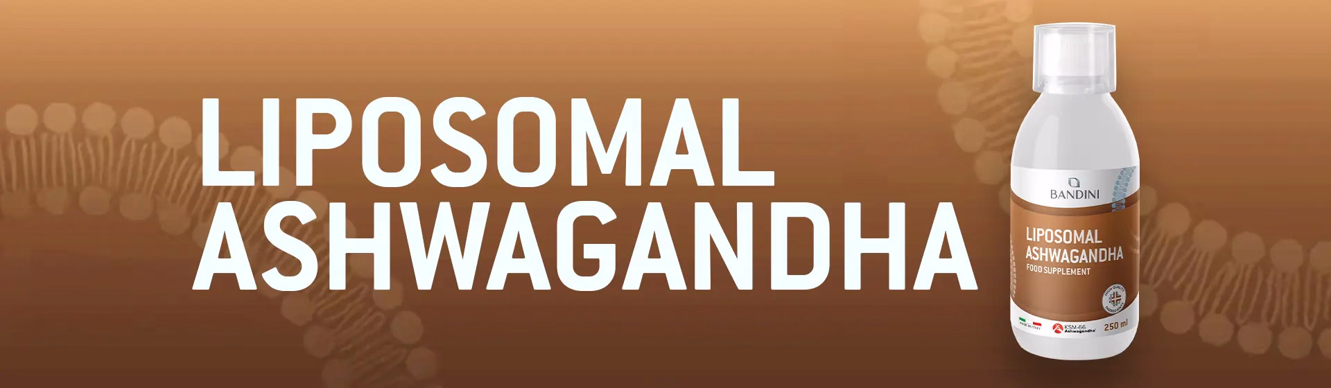 banner-ashwagandha
